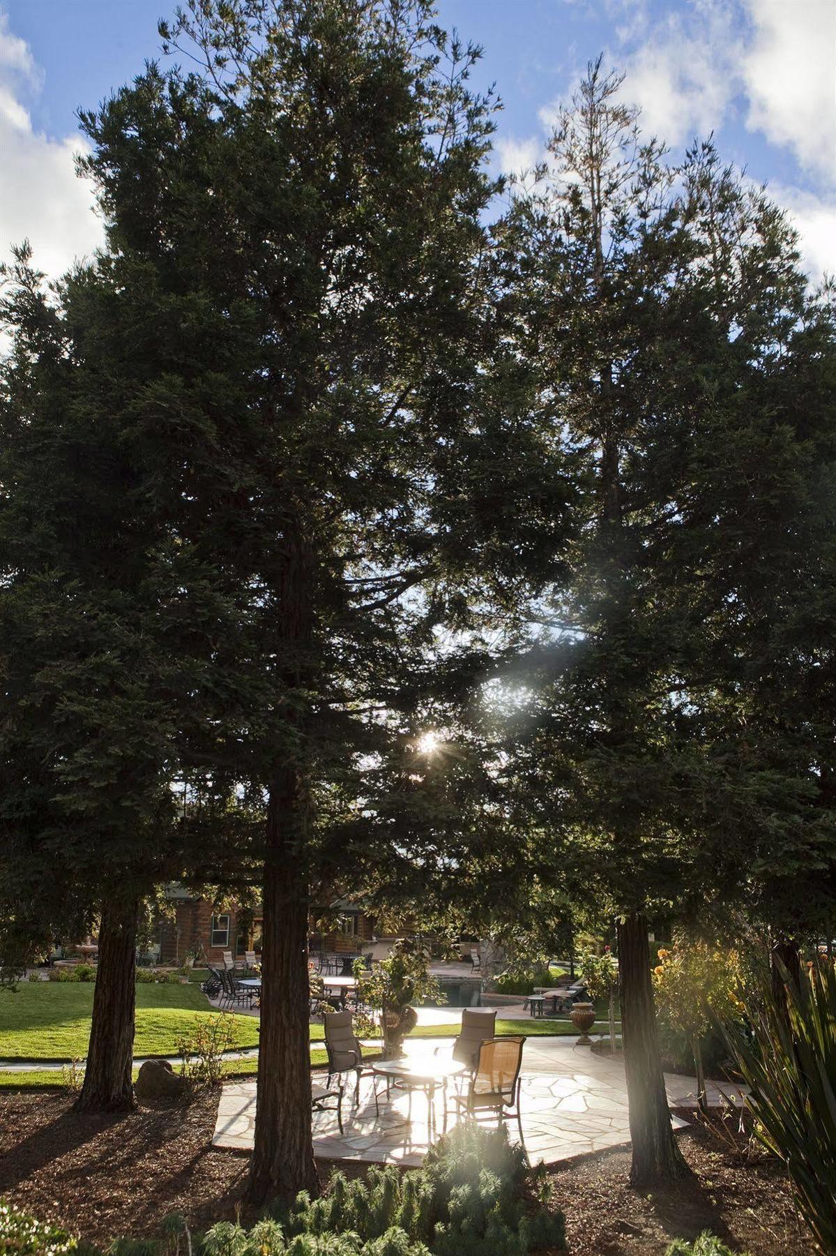 Purple Orchid Resort & Spa Livermore Bagian luar foto